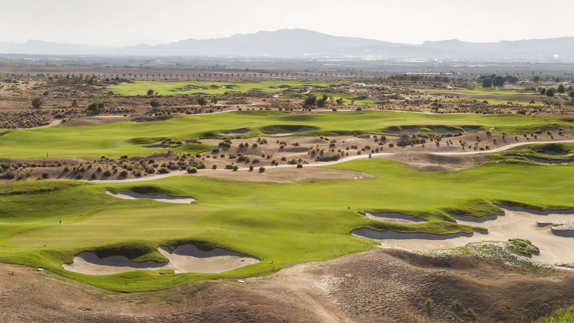 Alhama Signature Golf fairways and sculpted bunkers in Murcia