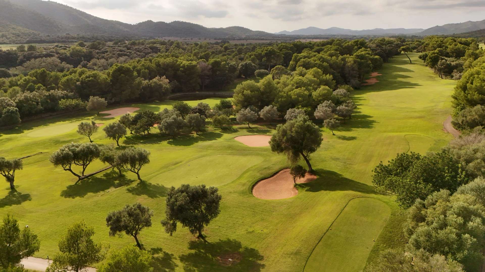Aerial view across the wooded fairways and greens at Canyamel Golf.