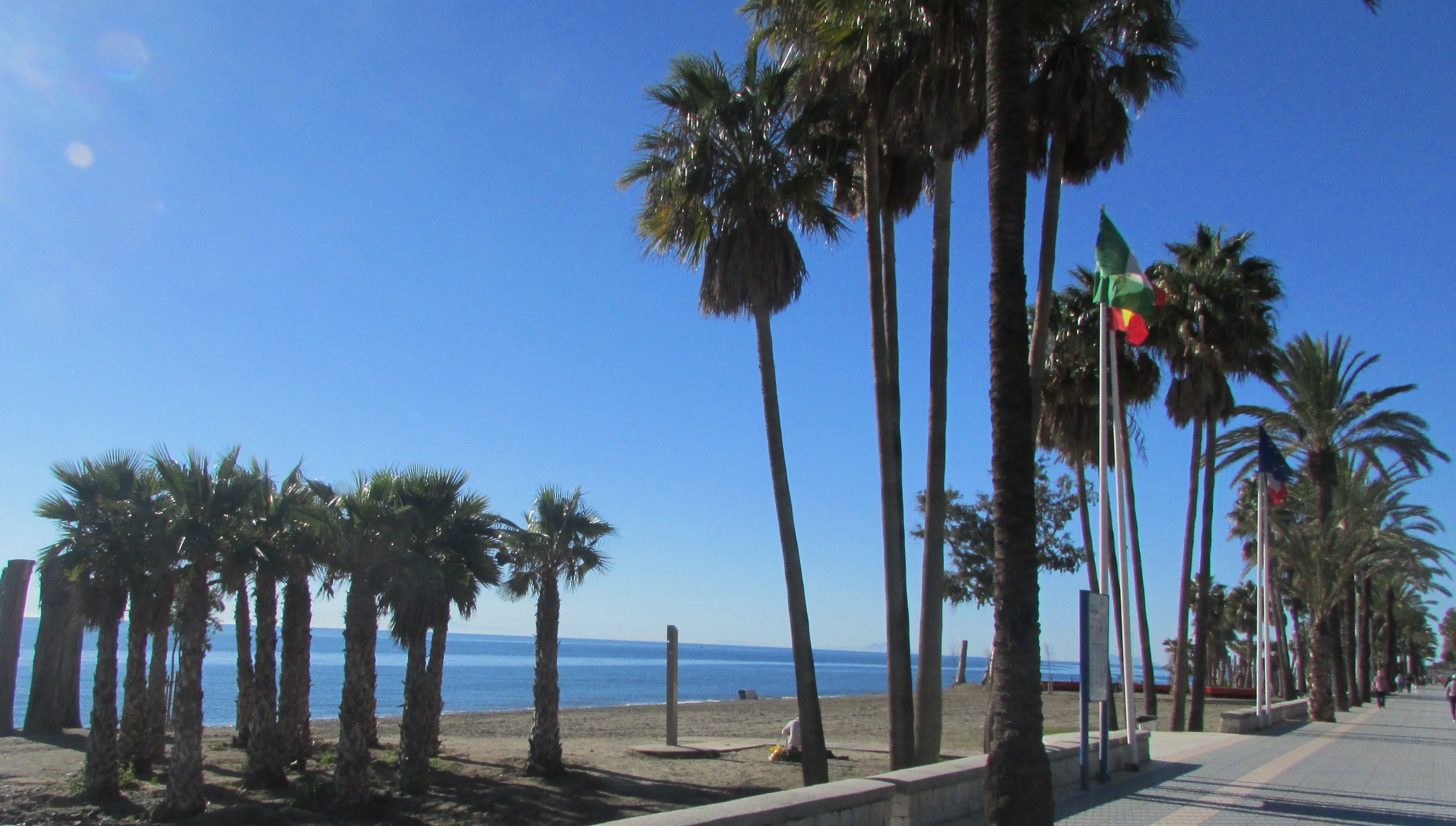 Paseo Maritimo seafront promenade with palm trees, San Pedro de Alcantara, Marbella