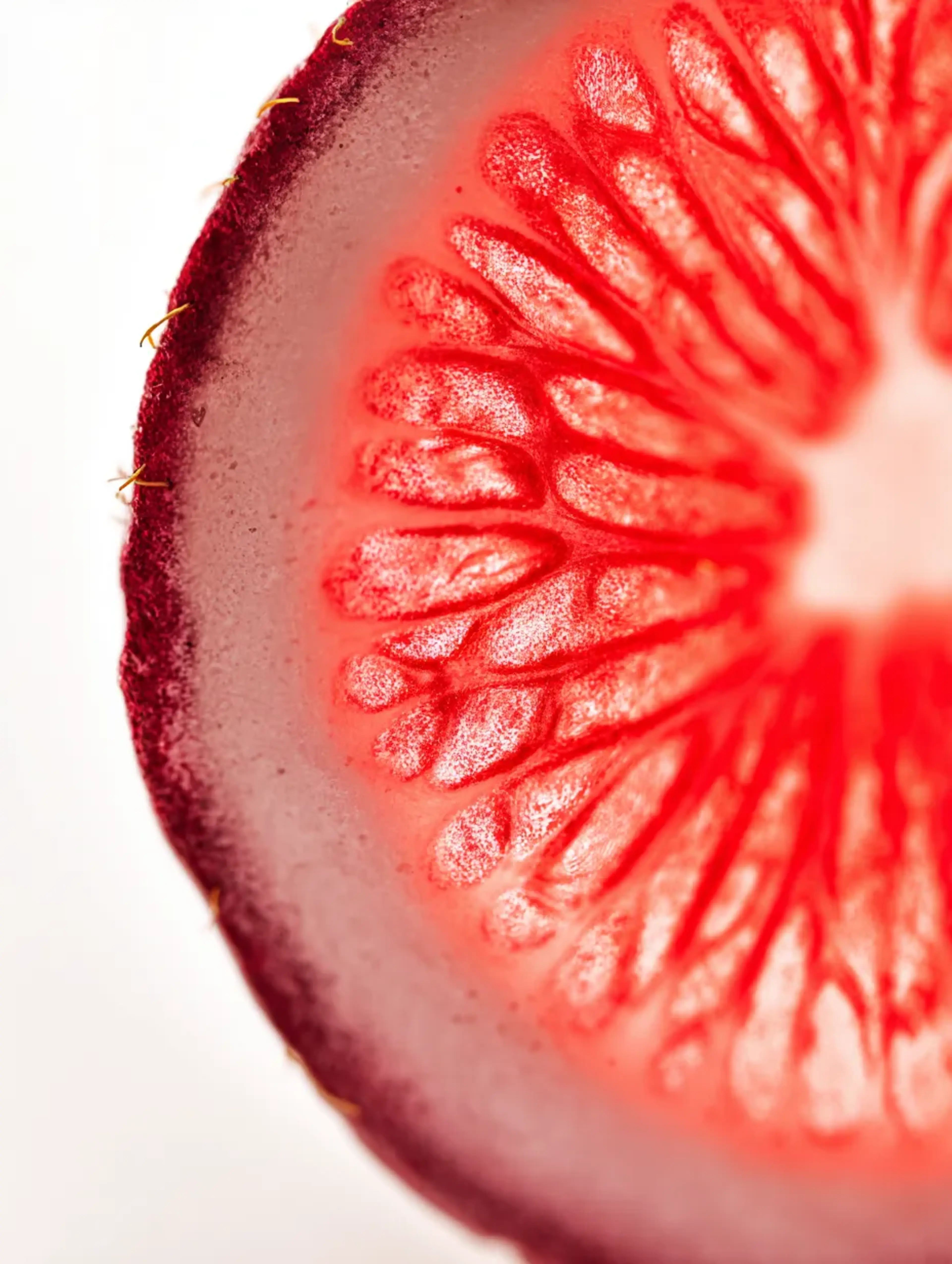 Multitude of food items background