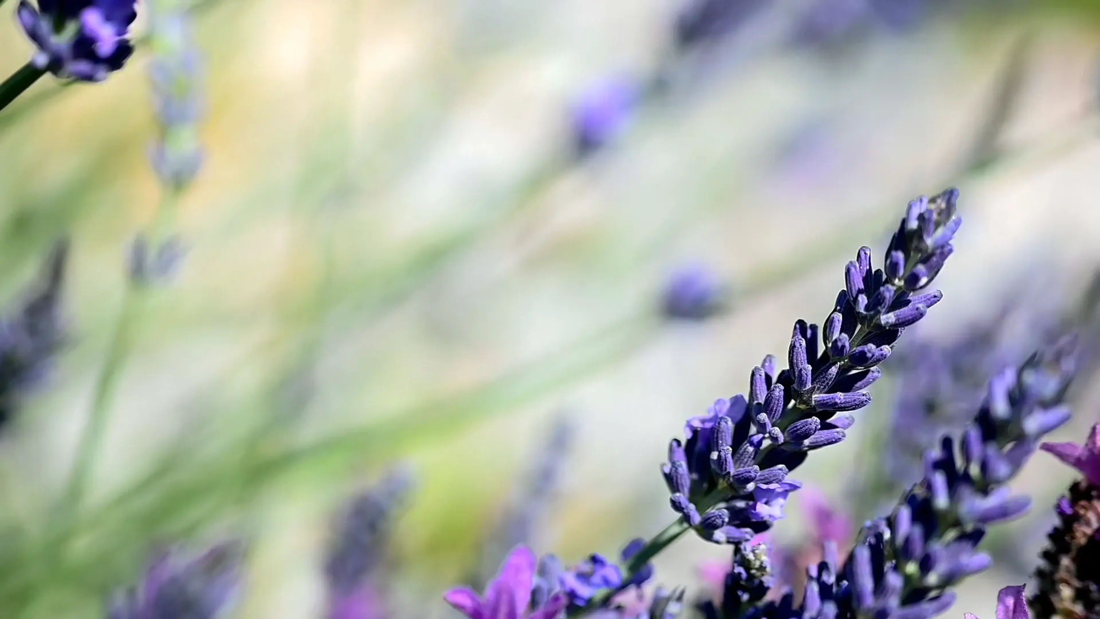 Drone view of the city of Grasse