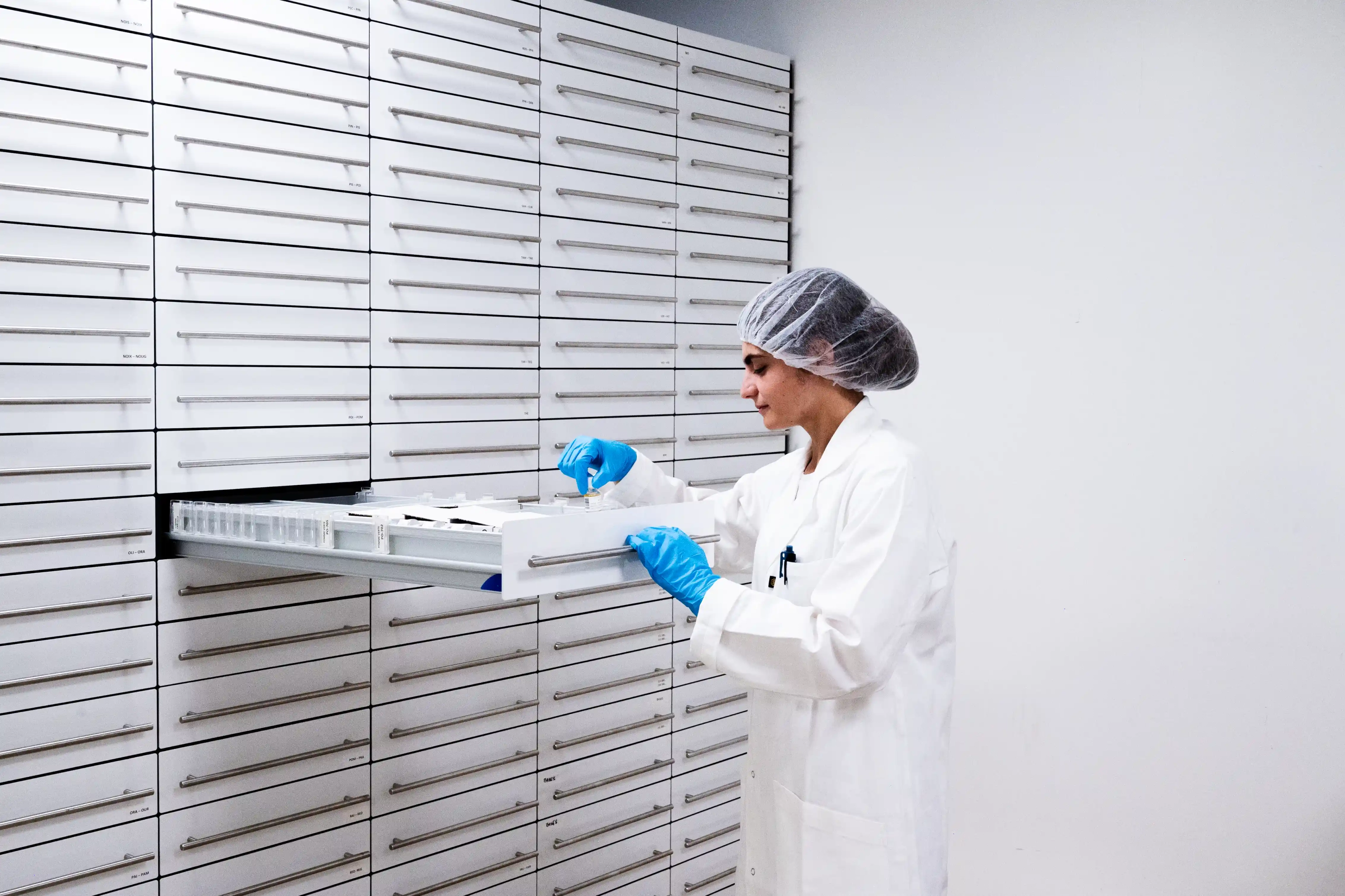 Tracabilité decorative image 1