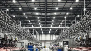 A large industrial meatpacking facility with heavy machinery and workers in protective gear, focusing on the scale of the warehouse-style building.