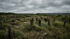 A somber, overgrown field with several small, weathered wooden markers under a grey sky, symbolizing a forgotten cemetery at a detention facility.