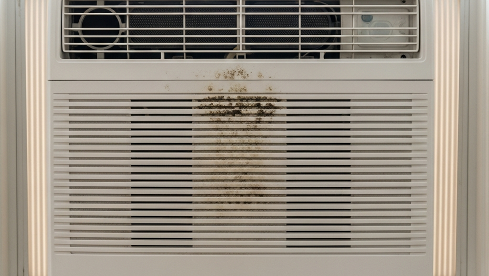 A white window air conditioner unit installed in a window frame with dark mold spots visible around the interior vents and plastic casing.