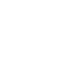 LFP.webp