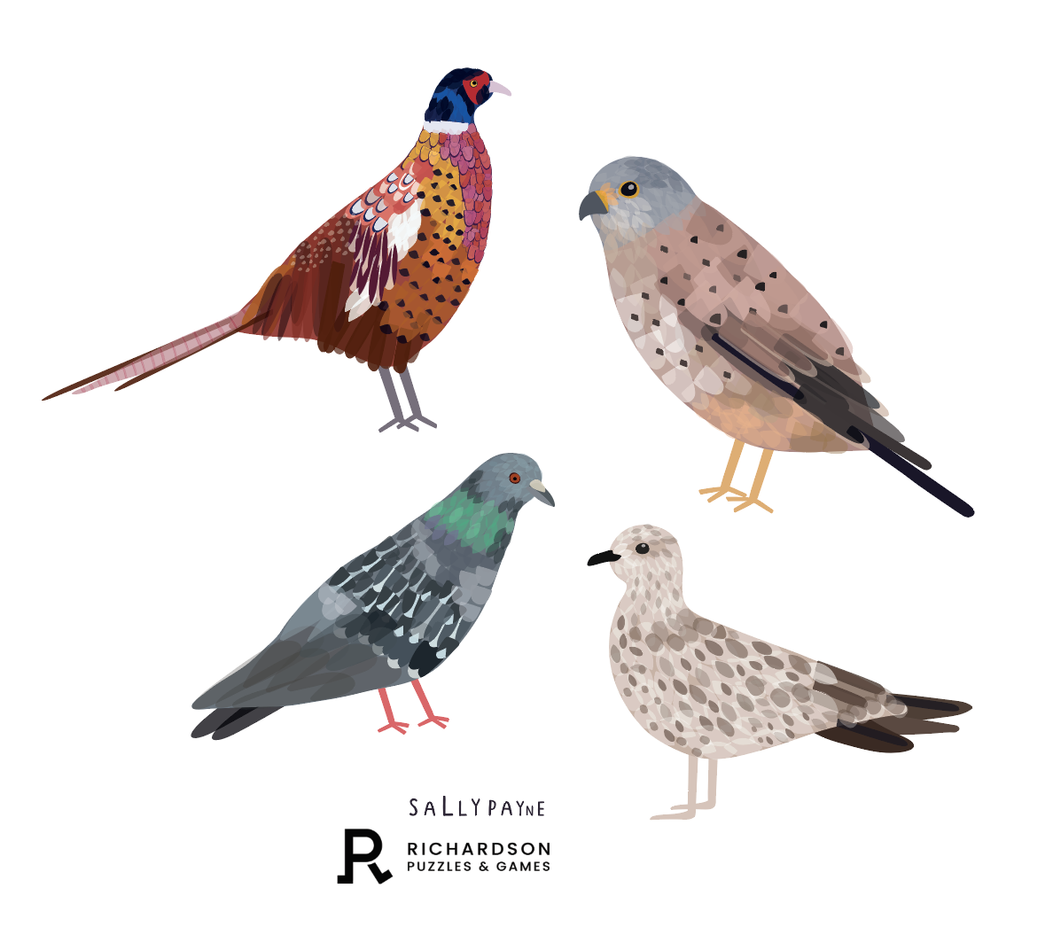 British Bird Illustrations