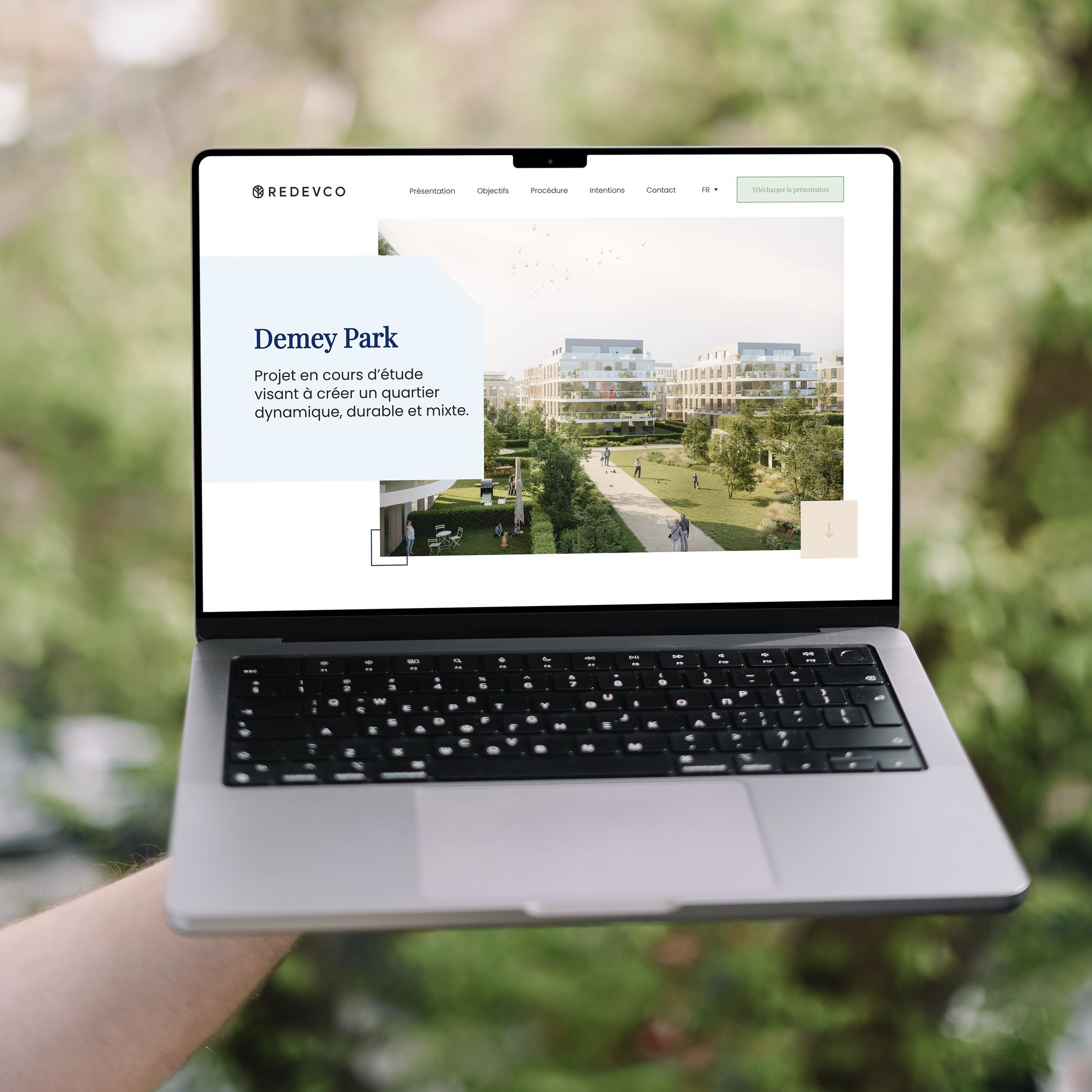 Site internet Demey Park