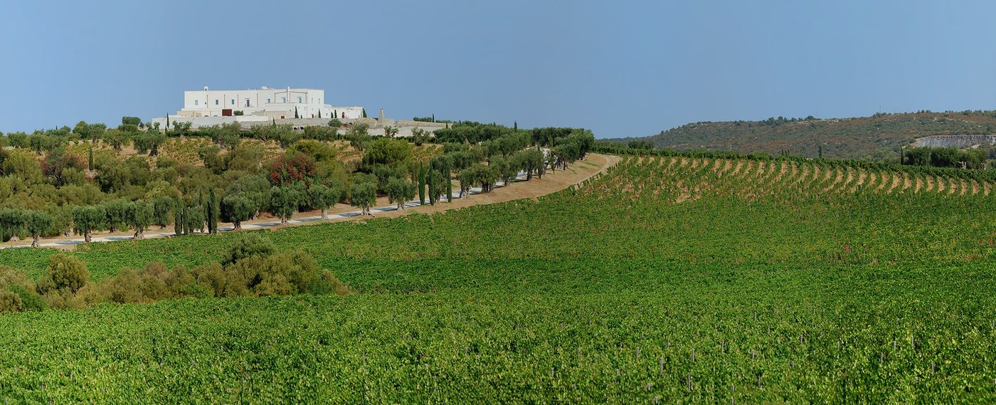 Amastuola