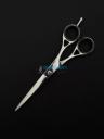 Barber Scissor — Fixed Screw, Contoured Handle (CBS-1006) — Sialkot ...
