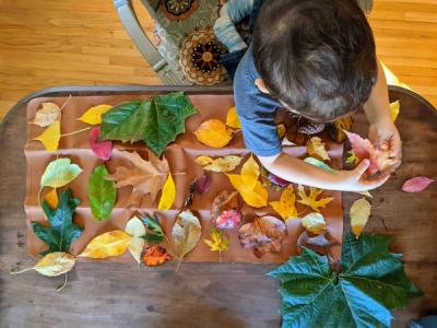 Autumn Leaf Hunt: A Science Activity for All Ages