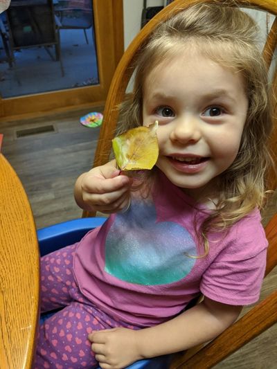 Fall Waxed Leaf Mobile