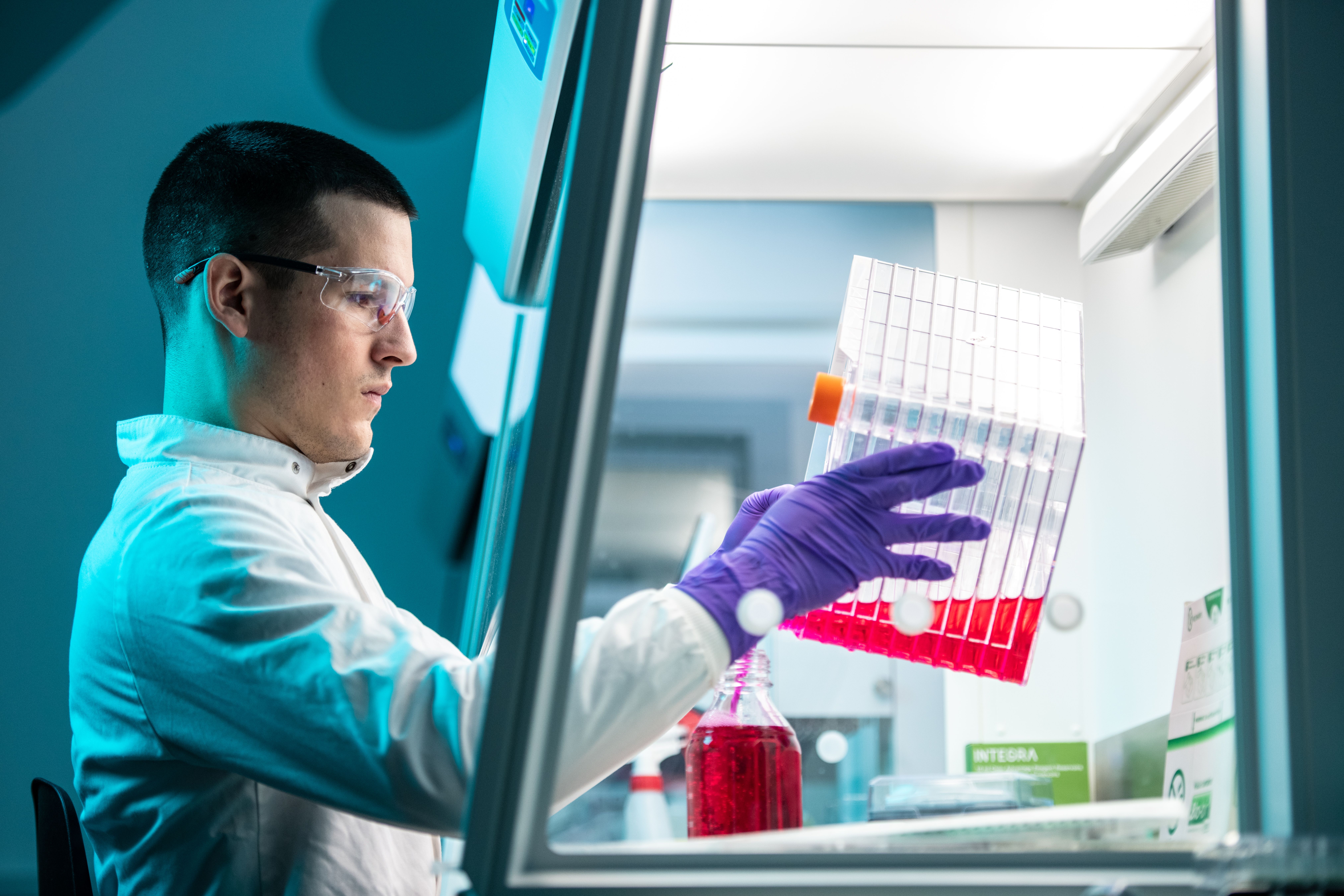 Cell Line Development