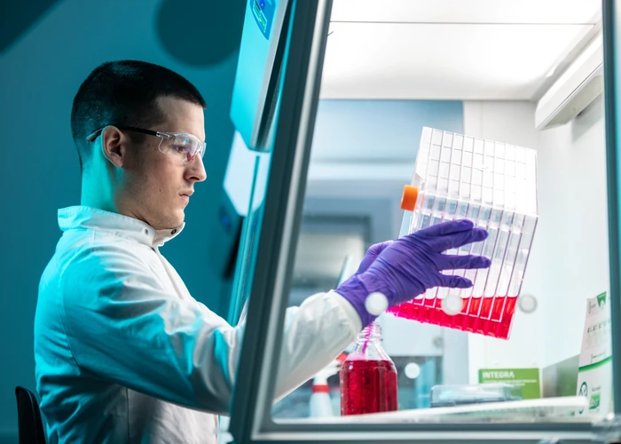 Cell Line Development