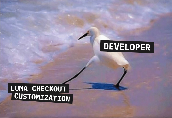 Bird with "developer" tag touching with one leg cold water with tag "luma checkout customization"