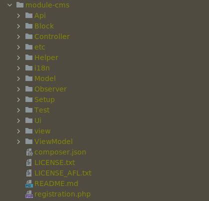 strucutre of a modile in a module-cms case