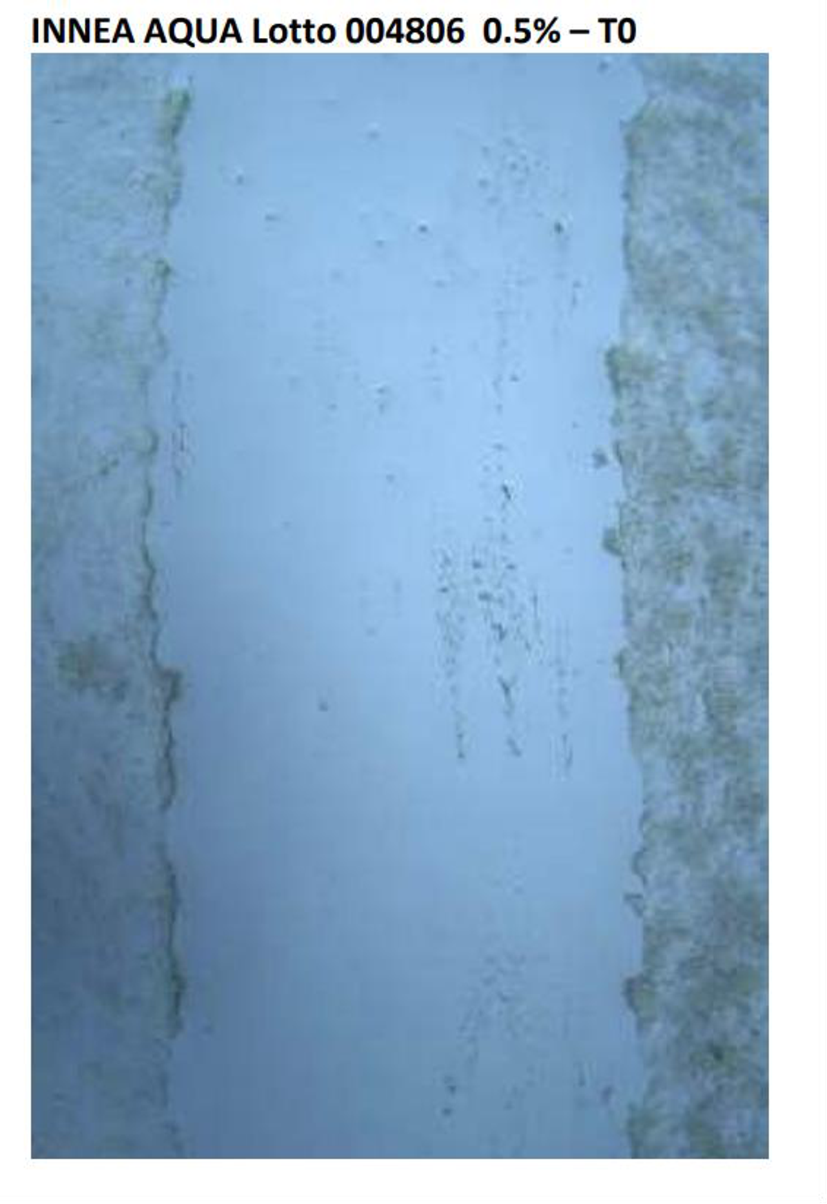 INNEA Aqua lot 004806, 0.5%, cell-culture scratch test at the start (T0). The original microscope image and label are retained.