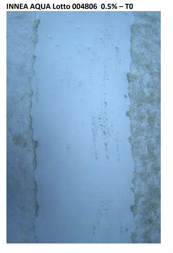 INNEA Aqua lot 004806, 0.5%, cell-culture scratch test at the start (T0). The original microscope image and label are retained.