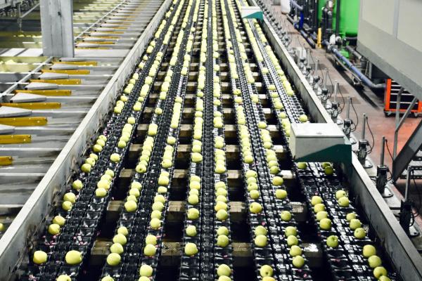 Kolaż pralek, butelki środka piorącego i telefonu z cyfrowym paszportem produktu dla płynu do prania.
