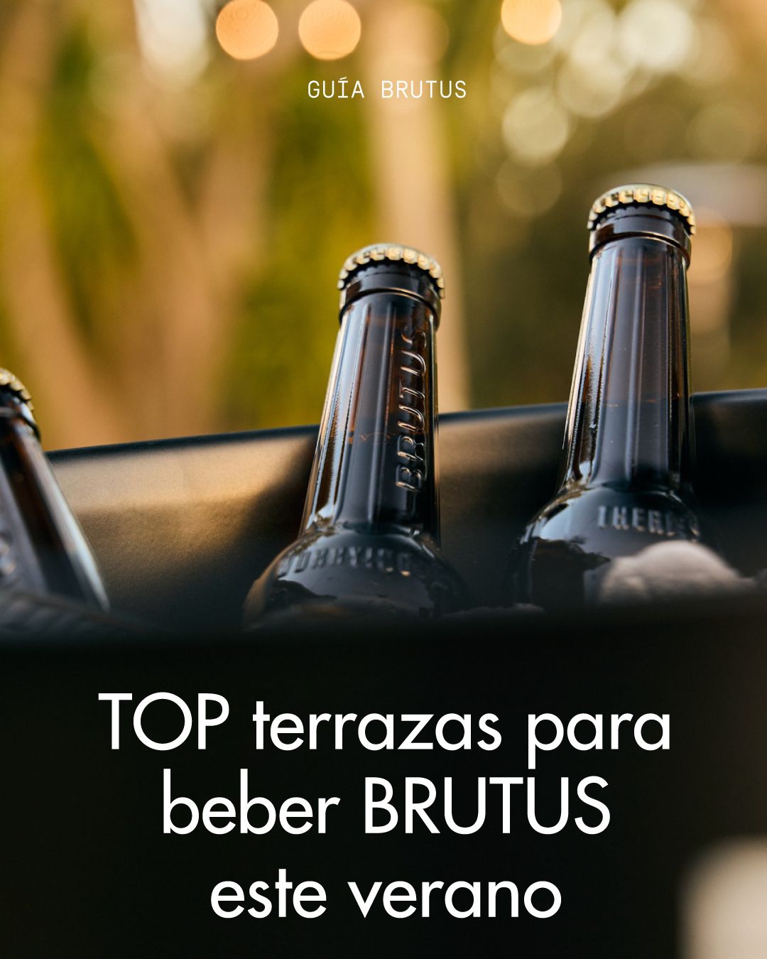 TOP TERRAZAS PARA BEBER BRUTUS