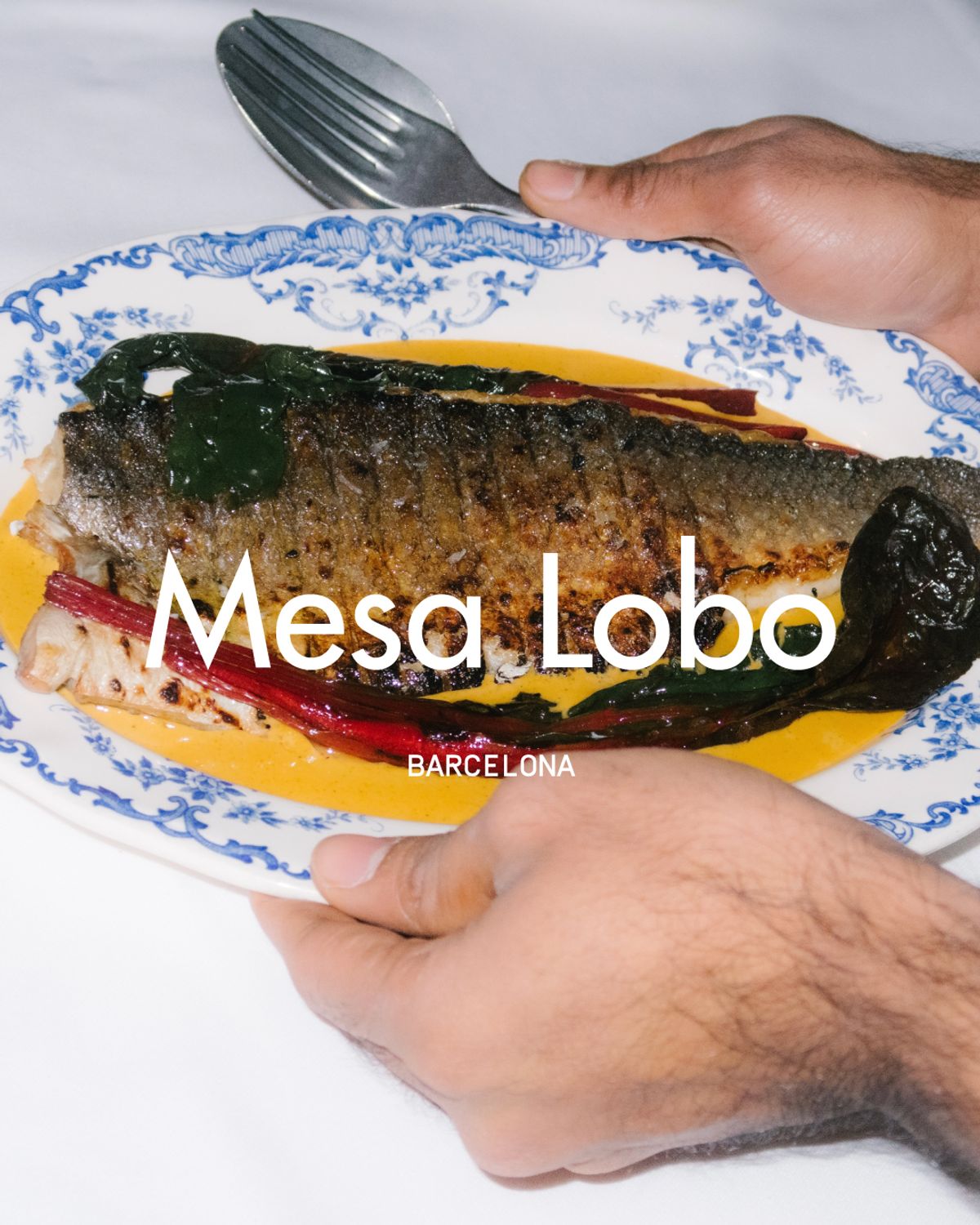 MESA LOBO
