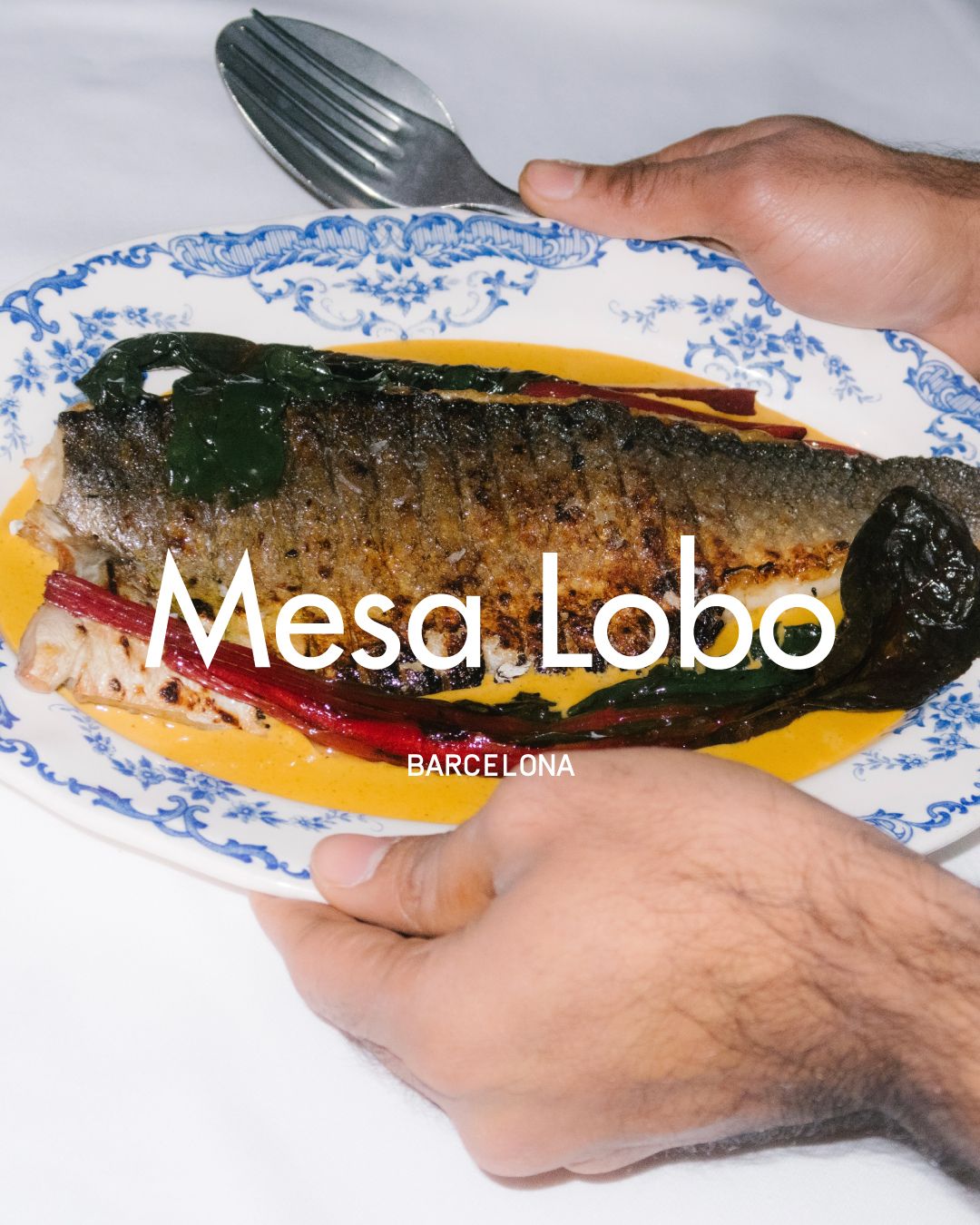 MESA LOBO
