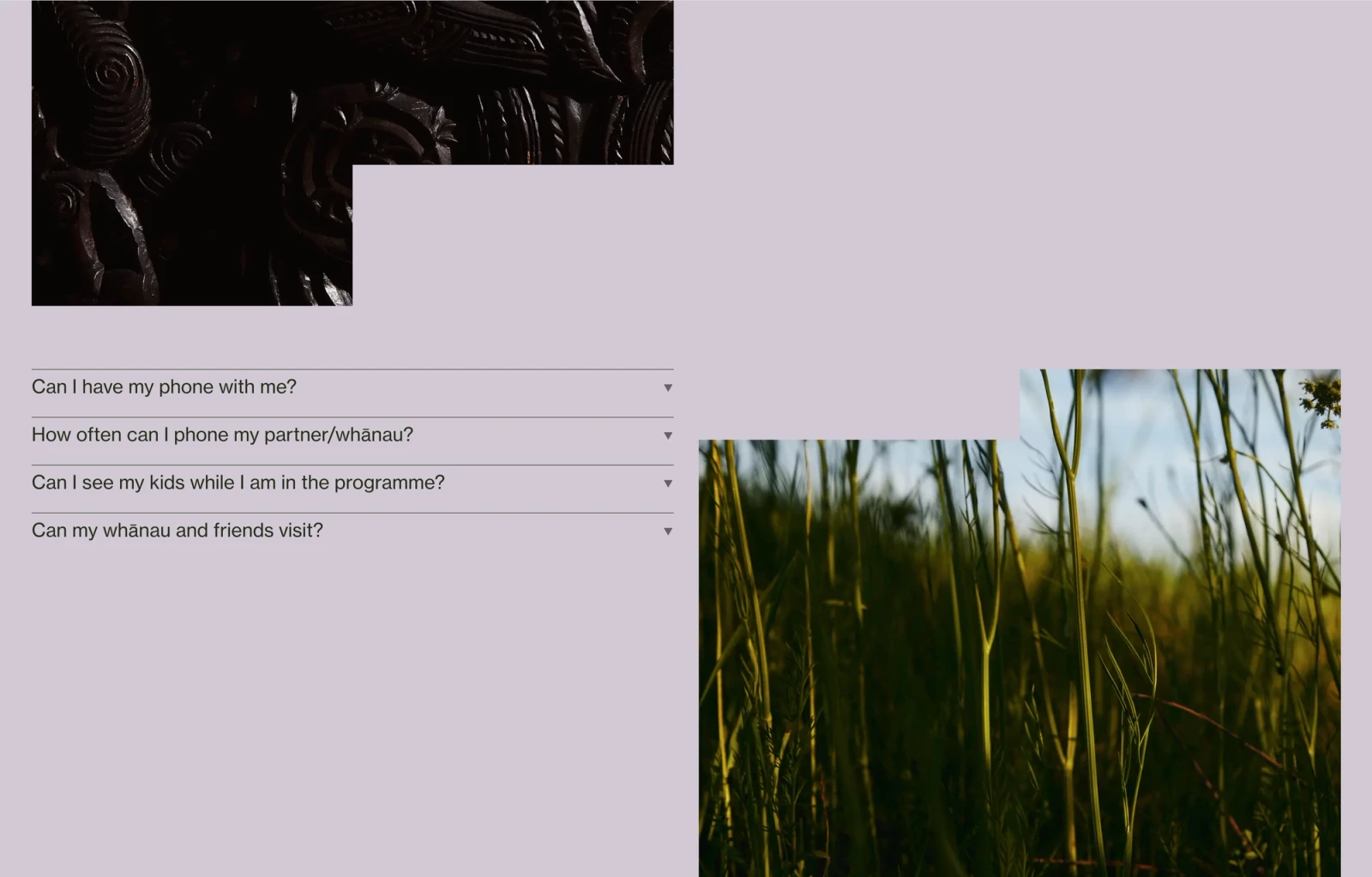 FAQ page - Higher Ground website by Digital Mates, Auckland