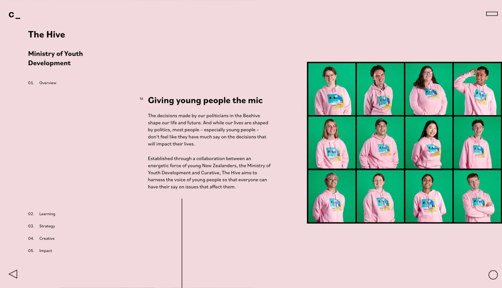 Curative Hive project - Curative website by Digital Mates, Auckland