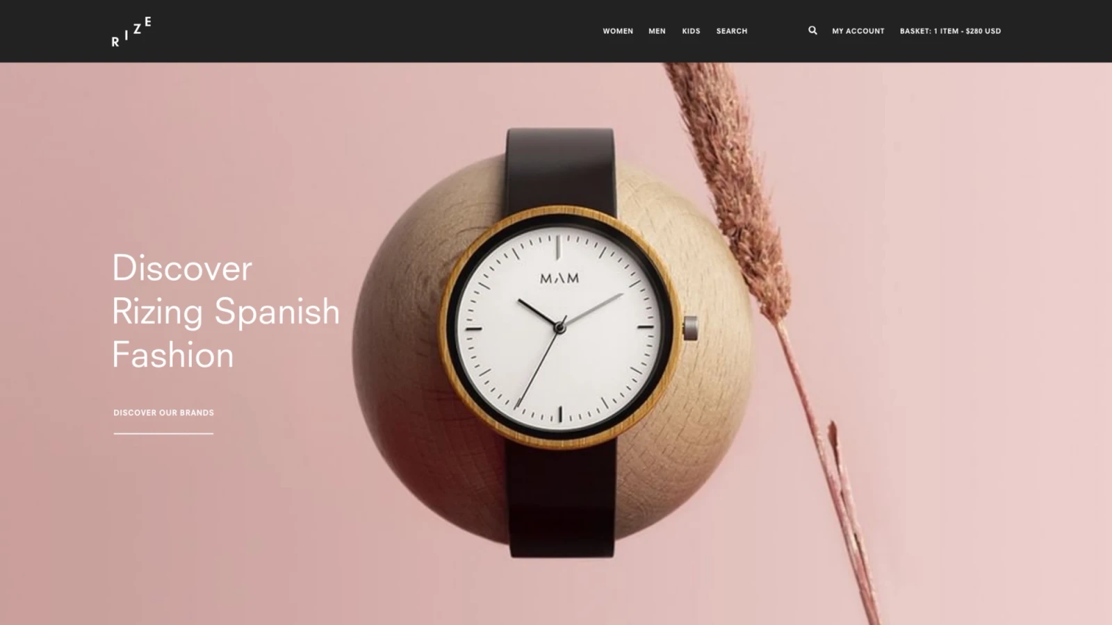 Rize home page - Rize website designed and built by Digital Mates, New Zealand