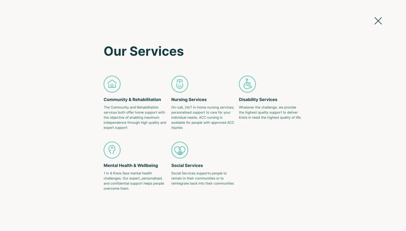 Website menu design - Healthcare NZ website by Digital Mates, Auckland