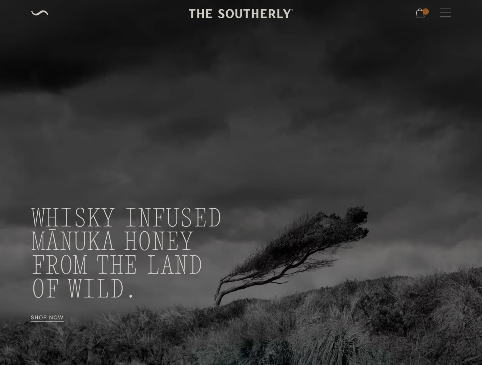 The Southerly website home page by Digital Mates, Auckland
