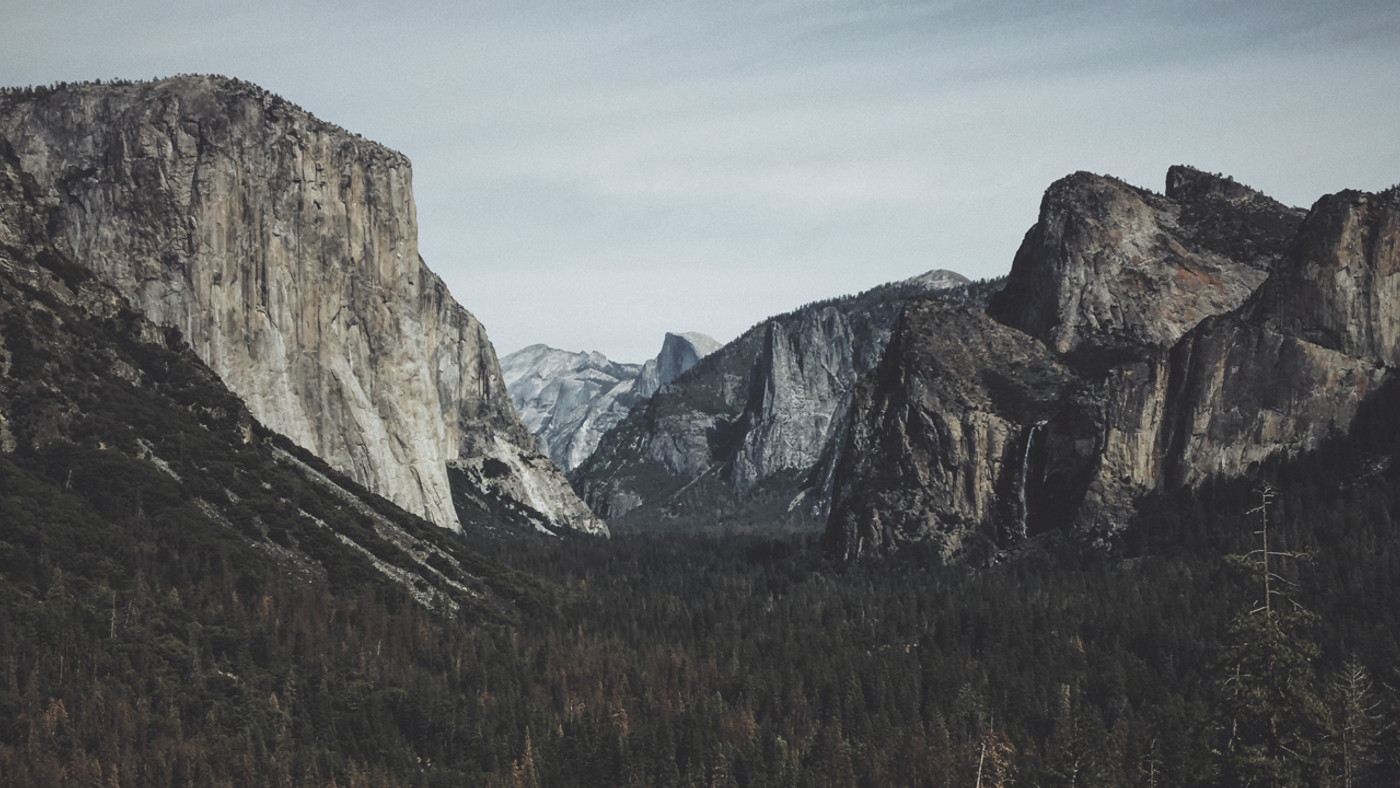 A mountainous terrain surrounding a forest