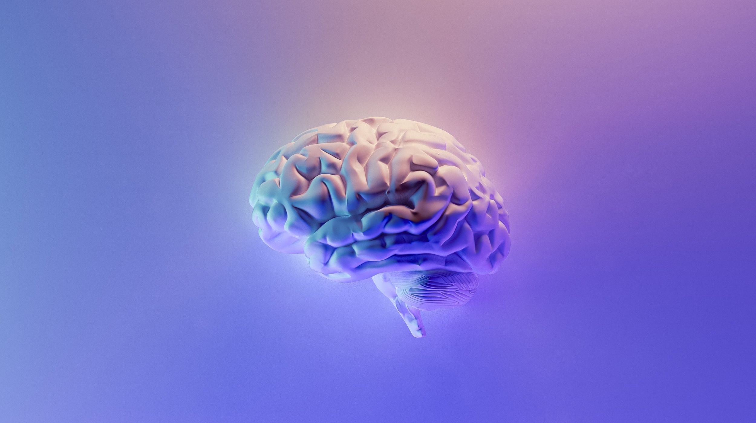 A 3d modelled human brain in the centre of a blue gradient background