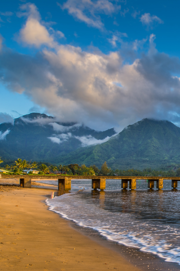 Essential Guide to Accessible Beaches