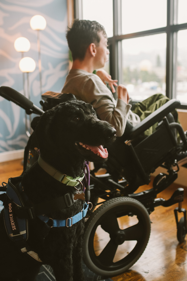 Walking Aids While Using a Service Dog