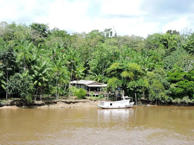 Brasil — Amazonas Ecológico