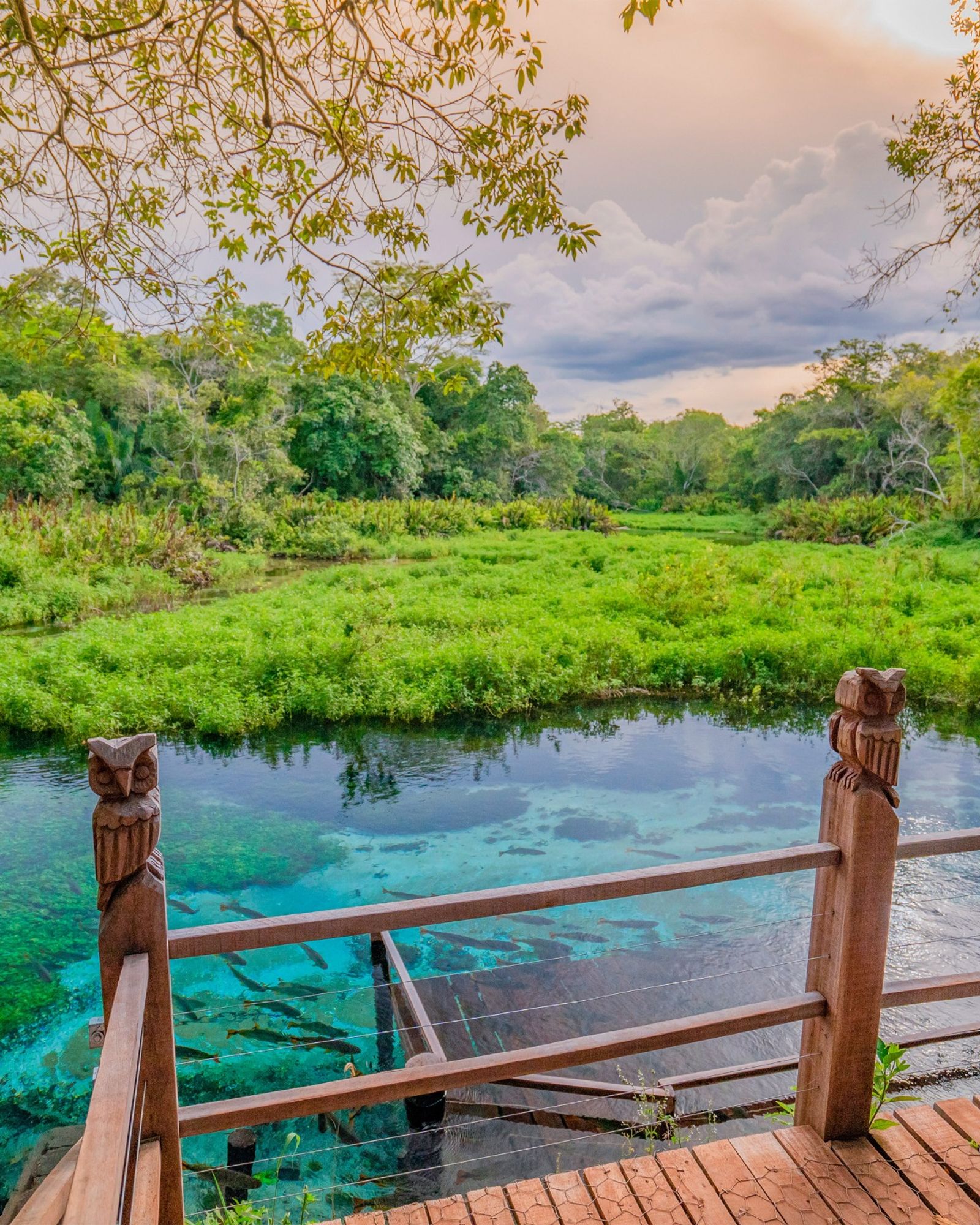 Bonito y Pantanal - Brasil