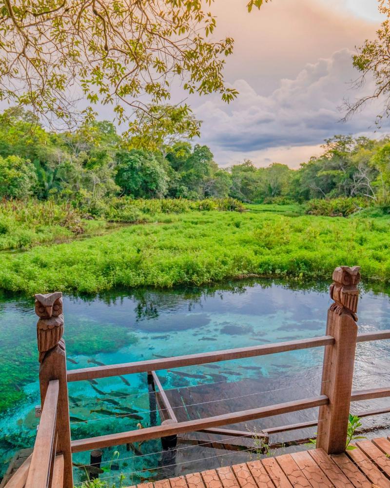 Bonito y Pantanal - Brasil
