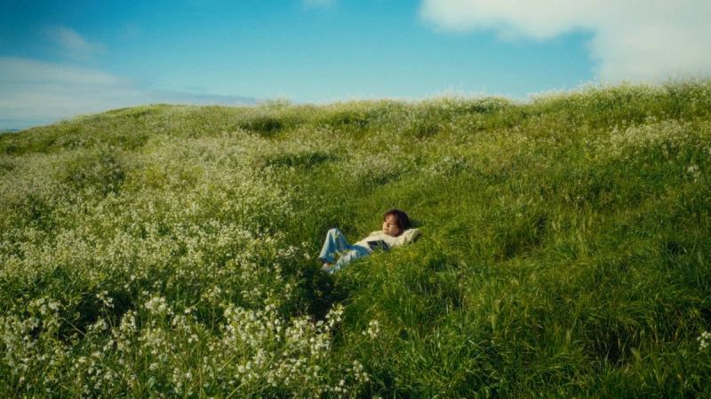 Field Notes