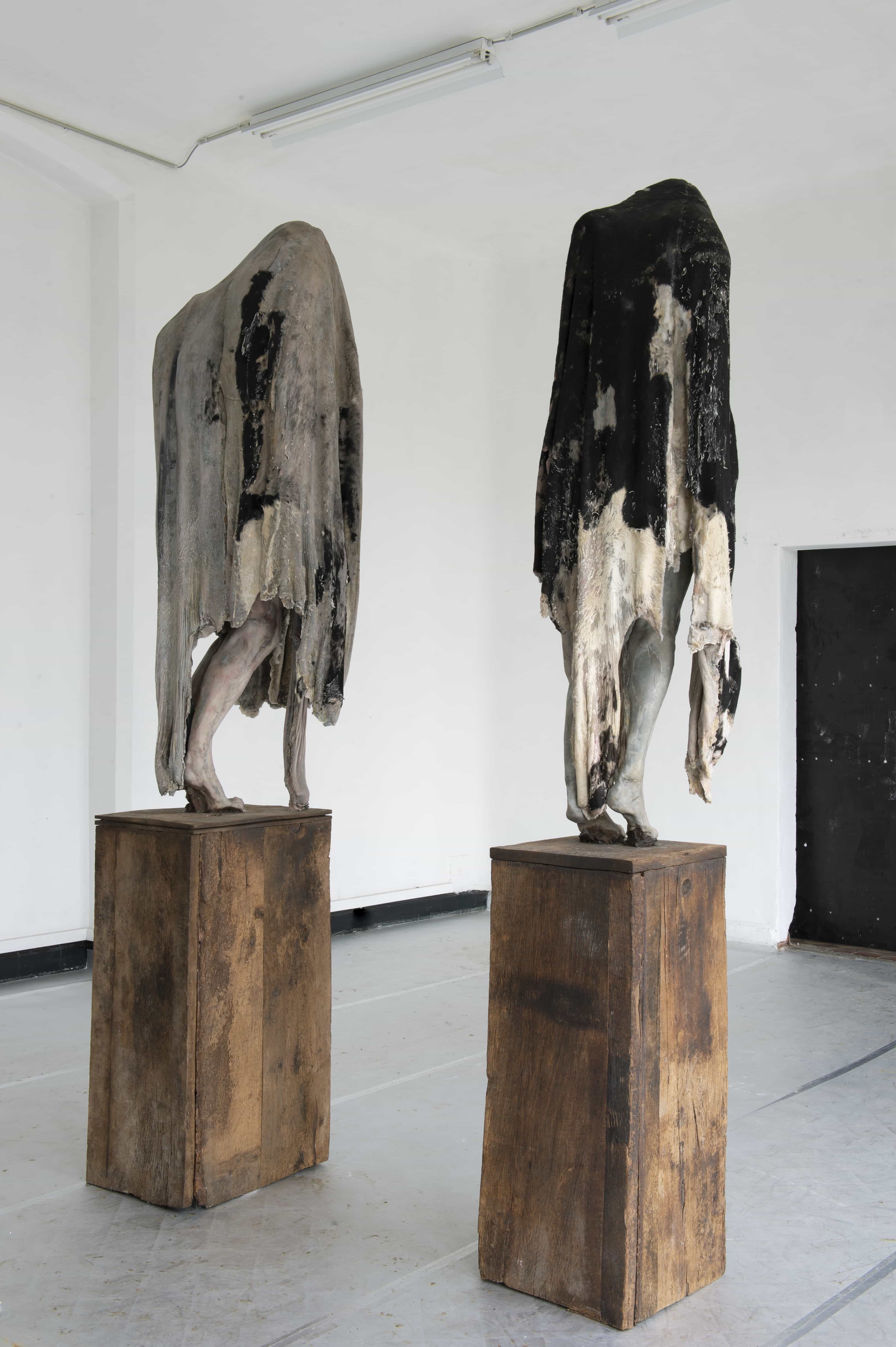 DAMN Magazine - Berlinde De Bruyckere