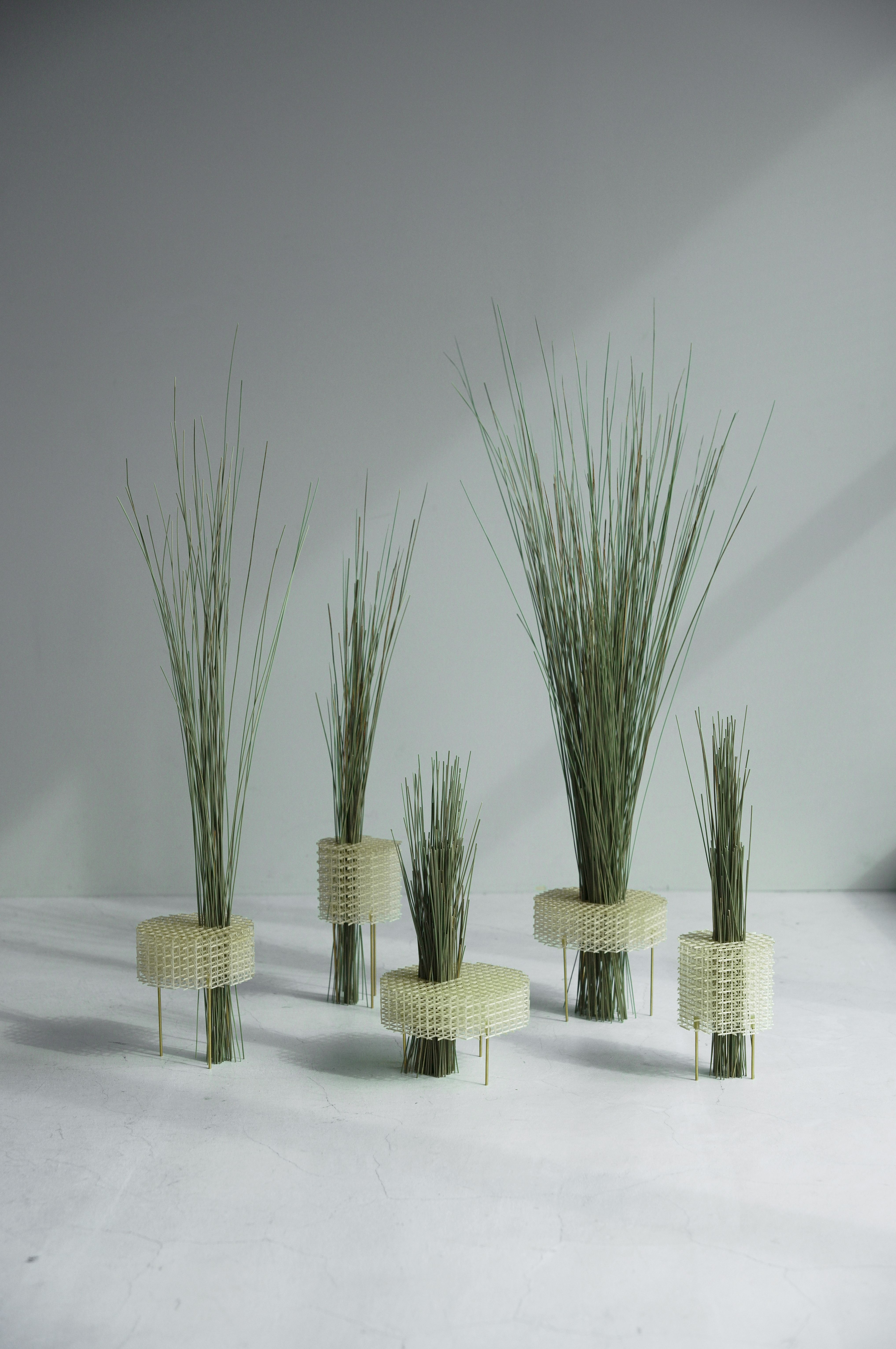 DAMN Magazine - Honoka Lab: Tatami for the 21st Century