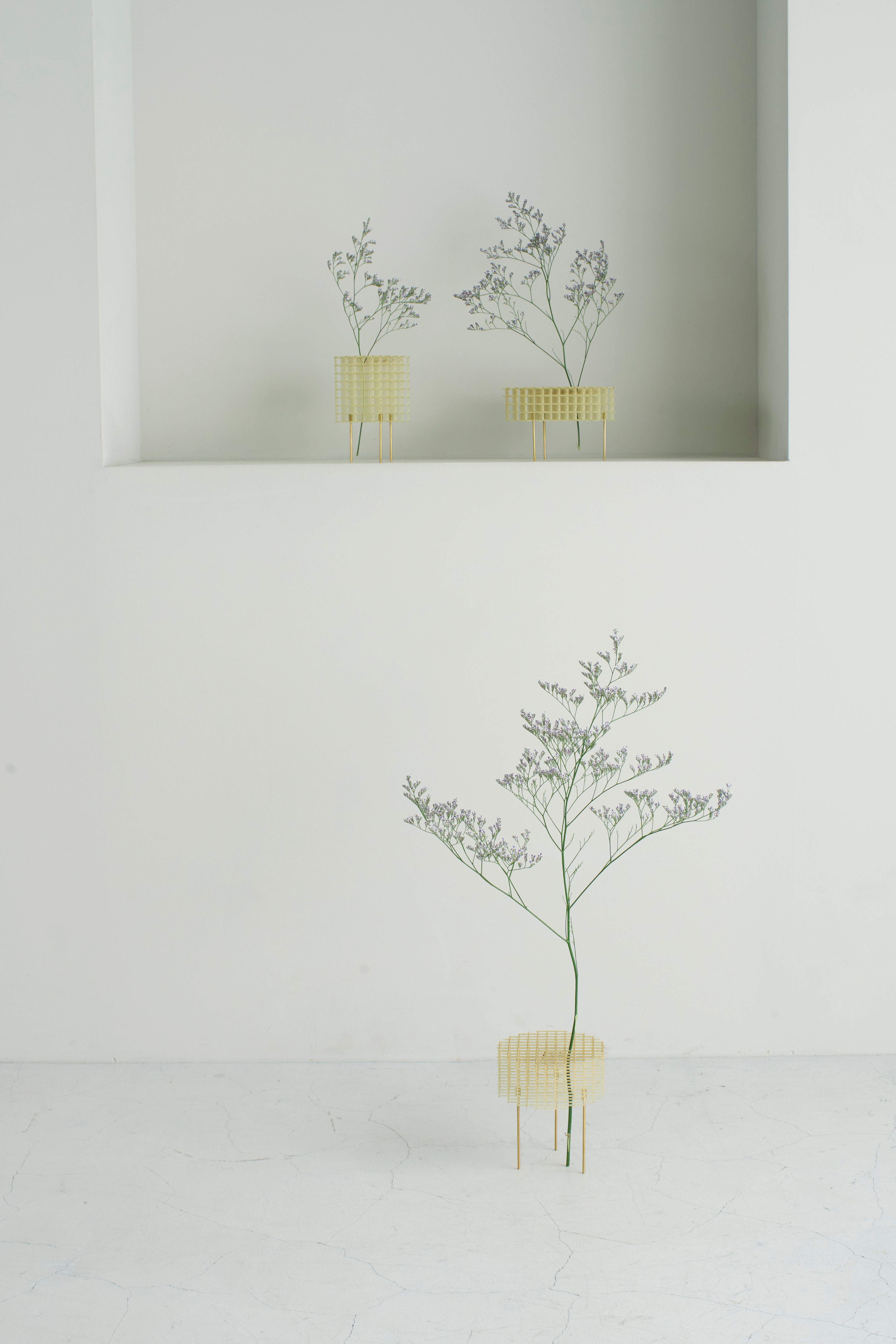 DAMN Magazine - Honoka Lab: Tatami for the 21st Century