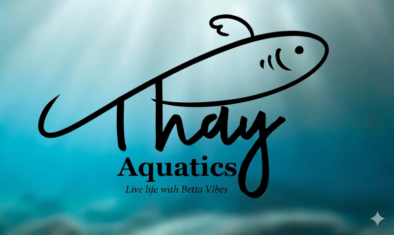 Thay Aquatics