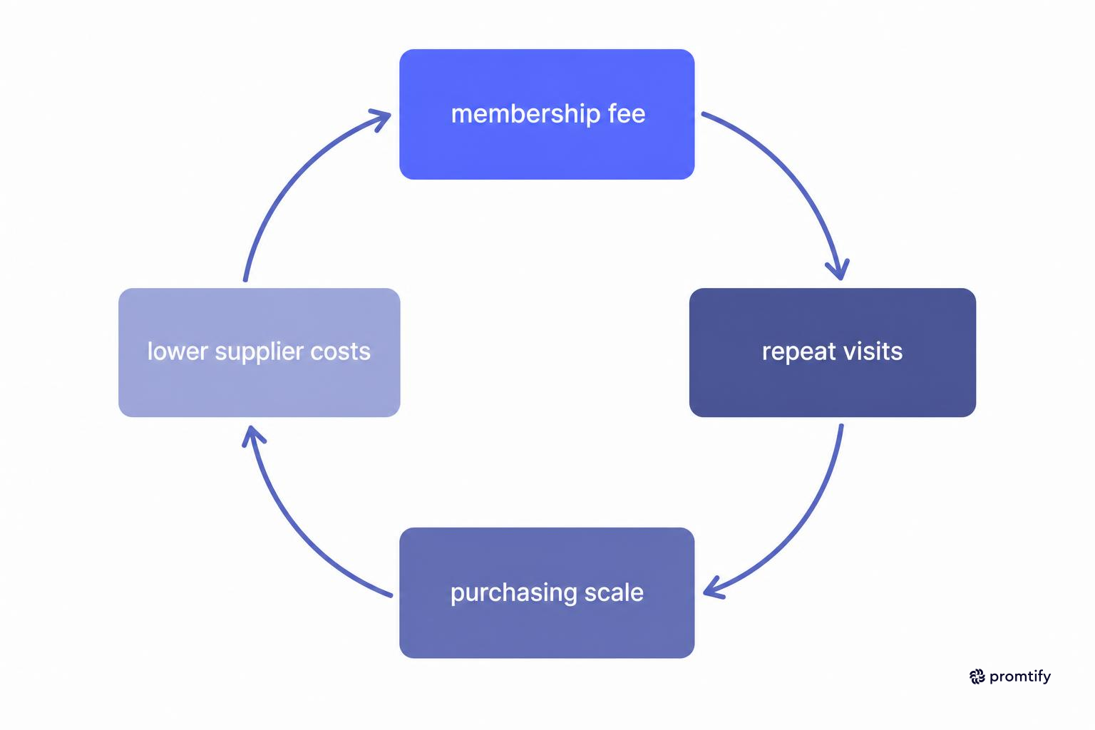 Loop diagram of Costco membership fee and cost advantage cycle