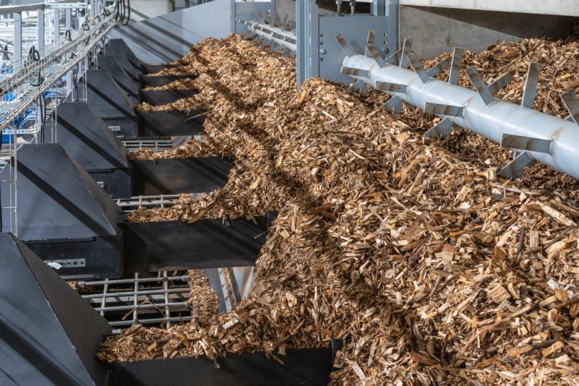 The Power of Biomass Boilers in decarbonising Industrial Plants