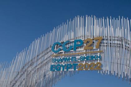 COP27: What It Means For Business.