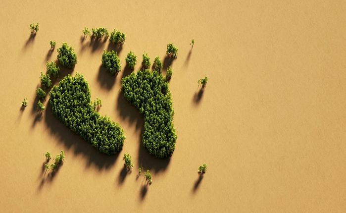 The Top 5 Hurdles When Creating a Carbon Footprint
