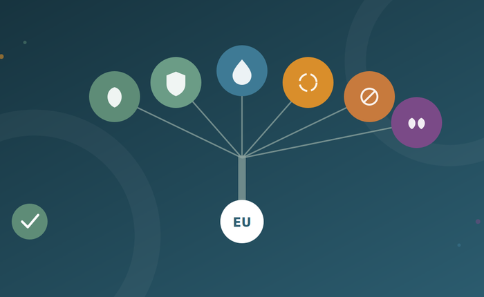 EU Taxonomy Regulation: What It Means for Mid-Market Companies