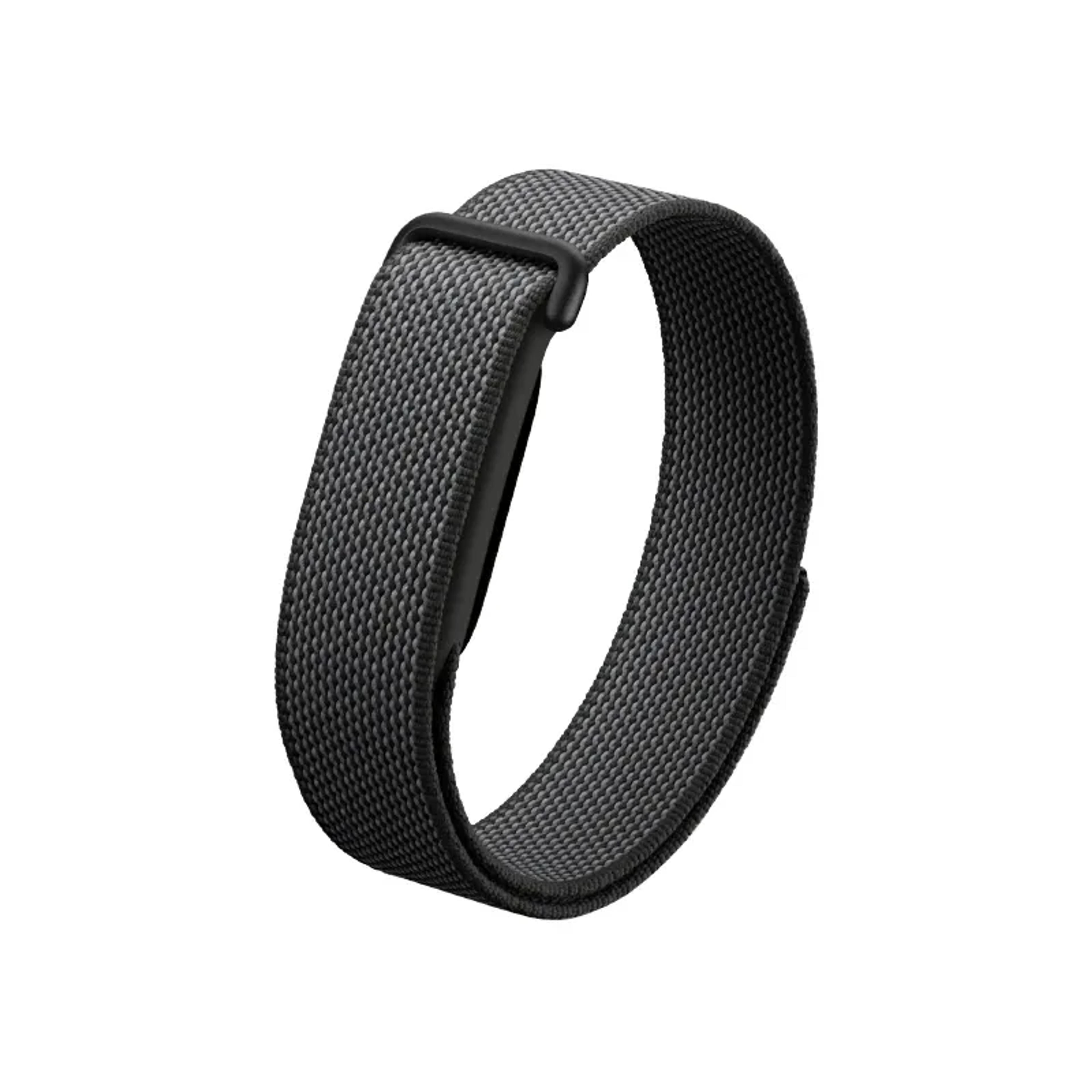 Google Fitbit Air
