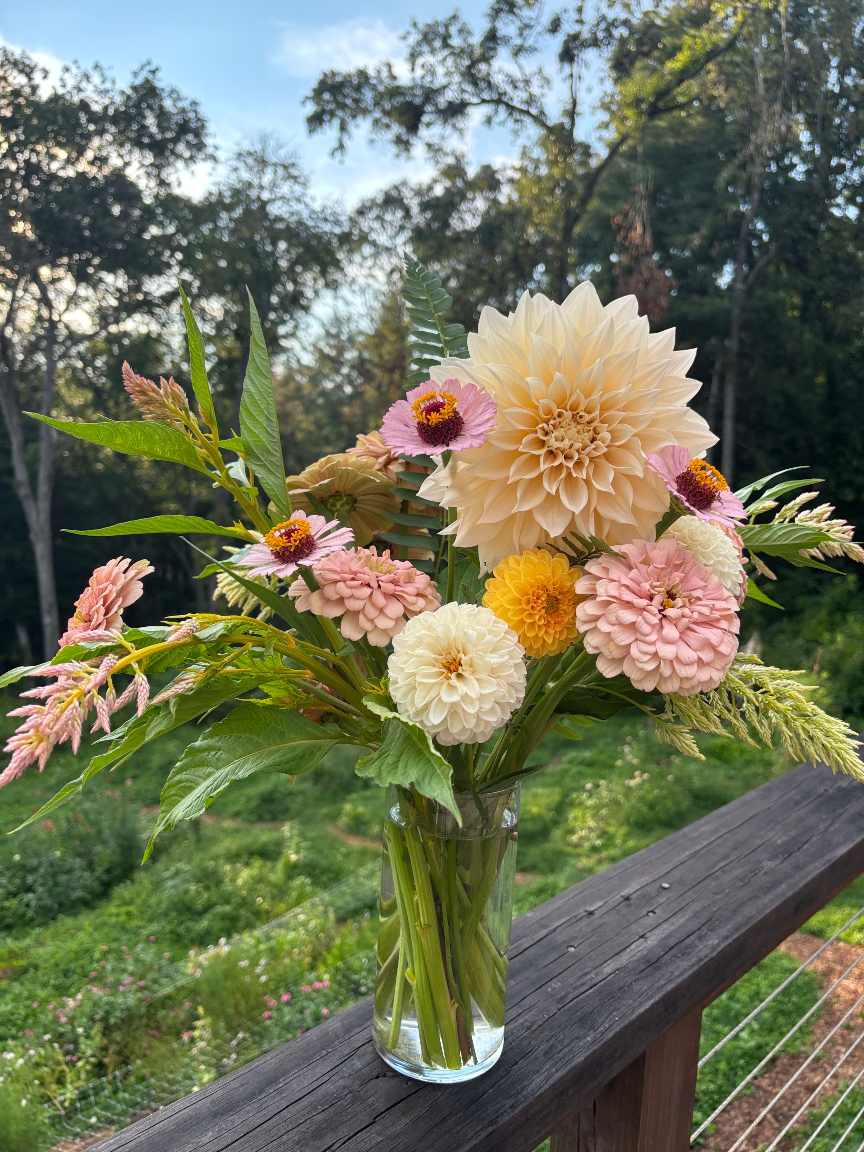 dahlias, zinnias, celosia in a vase outside